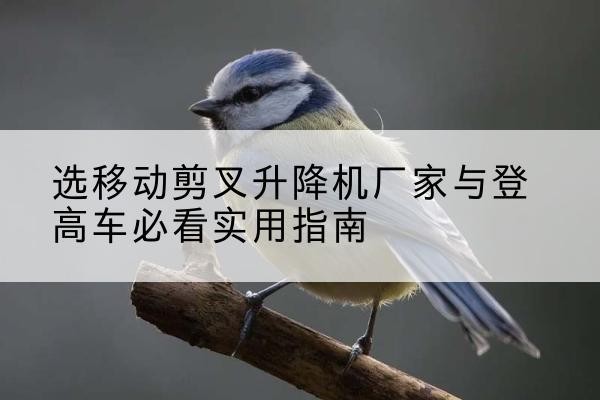 济宁电动升降机厂家-选移动剪叉升降机厂家与登高车必看实用指南