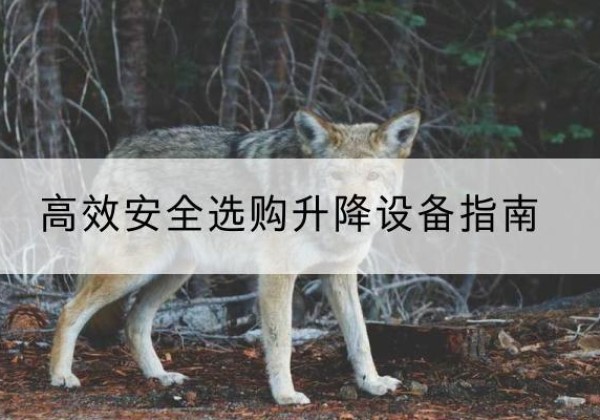 济宁升降货梯厂家推荐-*安全选购升降设备指南