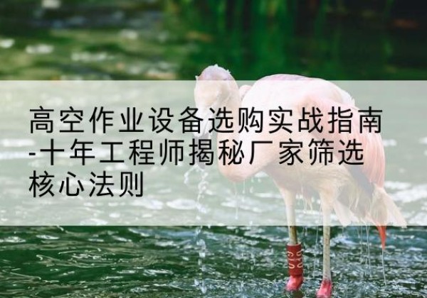 济宁剪叉式升降机厂家-高空作业设备选购实战指南-十年工程师揭秘厂家筛选核心法则